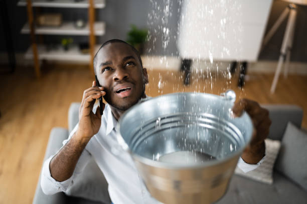 Best Water damage contractors near me  in Sunrise, FL