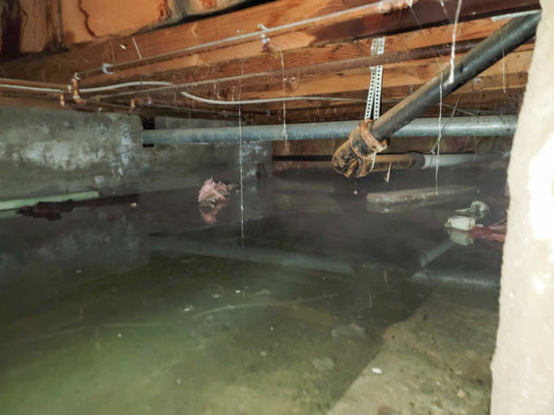 Best Fire Damage Restoration  in Sunrise, FL
