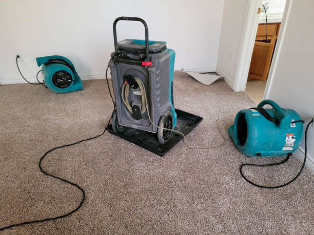 Water damage restoration insurance claims in Sunrise, FL