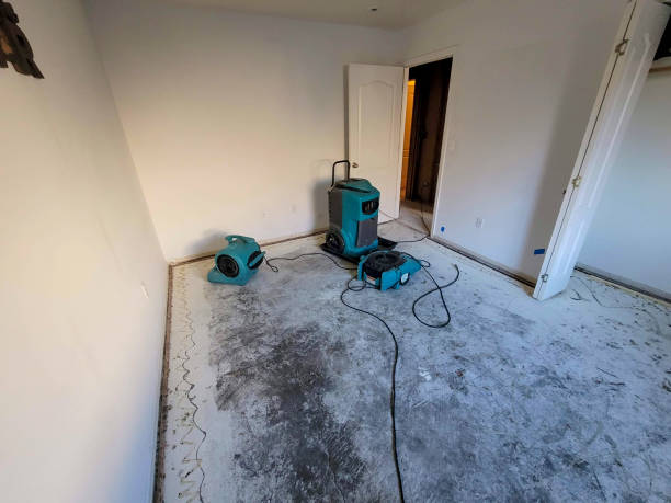 Best Commercial water damage restoration  in Sunrise, FL