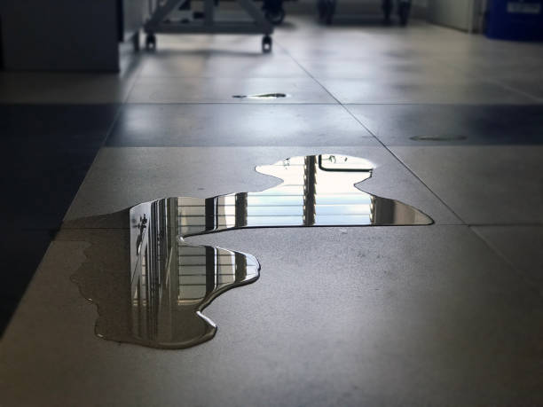 Best 24/7 water damage repair  in Sunrise, FL