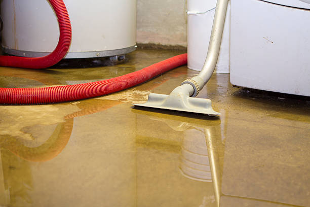 Water damage restoration process in Sunrise, FL