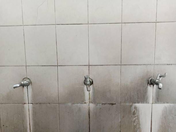 Best Local water damage restoration  in Sunrise, FL