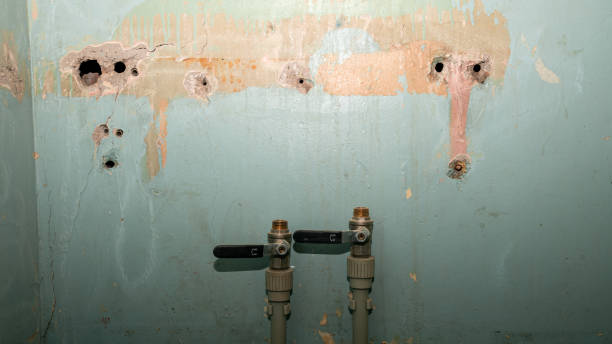 Best Local water damage restoration  in Sunrise, FL