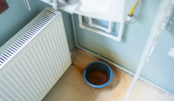 Best Water damage cleanup near me  in Sunrise, FL