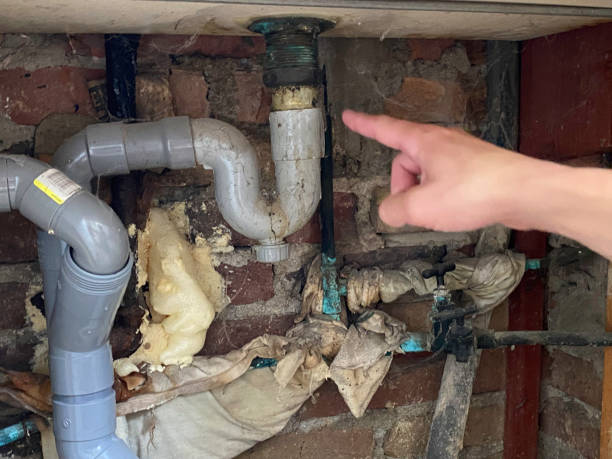 Best Flooded house restoration  in Sunrise, FL