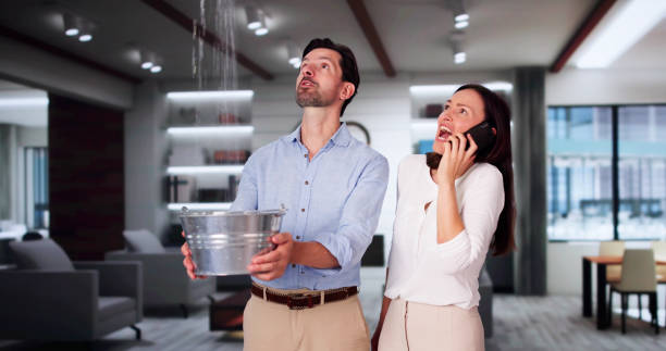 Best Flood restoration services  in Sunrise, FL