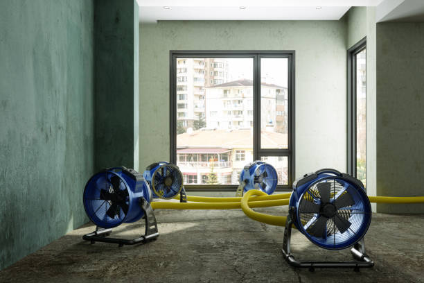 Best 24-hour water damage restoration  in Sunrise, FL