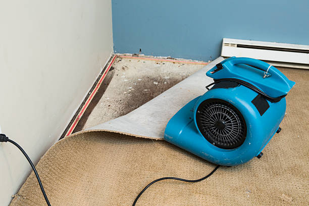 Best Carpet water damage restoration  in Sunrise, FL